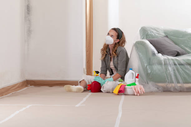 Reliable Black Mold Removal contractor in Woodbine, MD by WQB Mold Removal